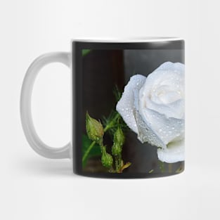 White Rose Mug